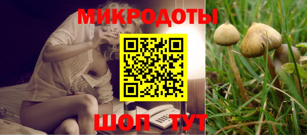 Салехард  Галлюциногенные грибы мухоморы  Вход с VPN 